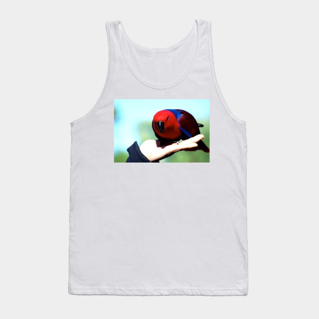 Eclectus Parrot - female Tank Top by GP1746